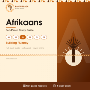 Afrikaans B1 self-paced study guide cover