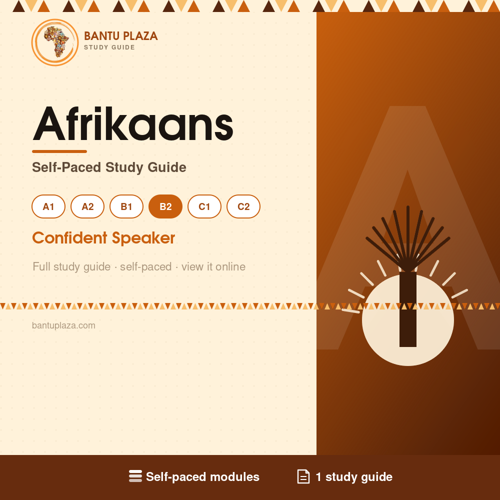 Afrikaans B2 self-paced study guide cover