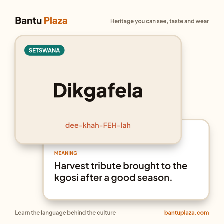 Setswana flash card: Dikgafela. Meaning: Harvest tribute brought to the kgosi after a good season.