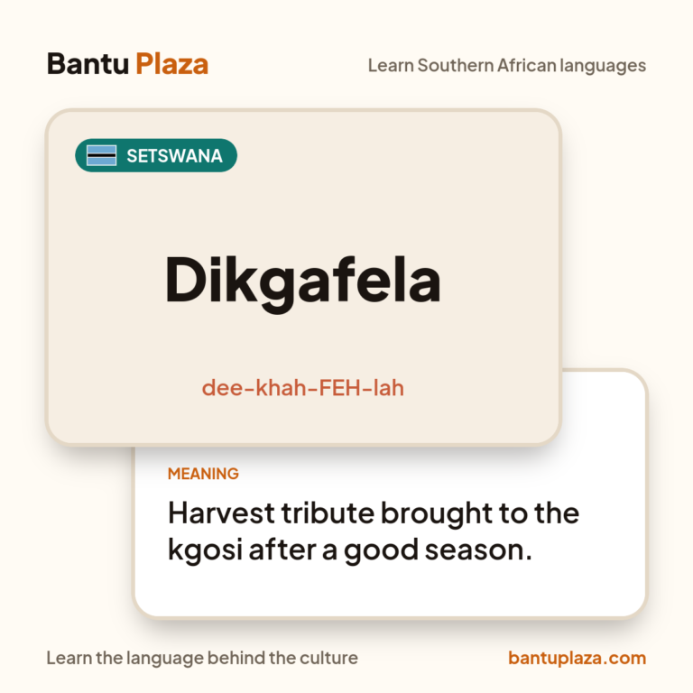 Setswana flash card: Dikgafela. Meaning: Harvest tribute brought to the kgosi after a good season.